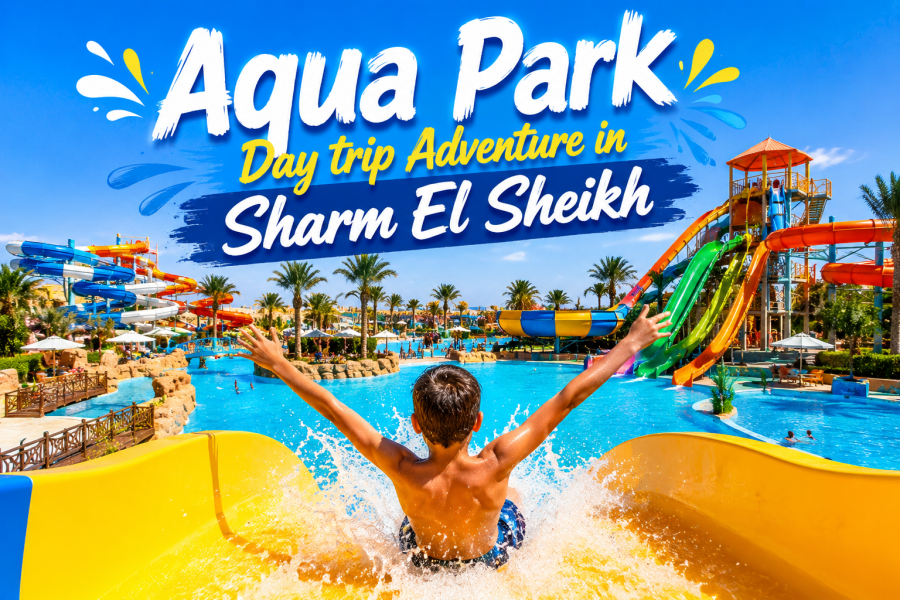 Aqua Park Day trip Adventure | Sharm El Sheikh