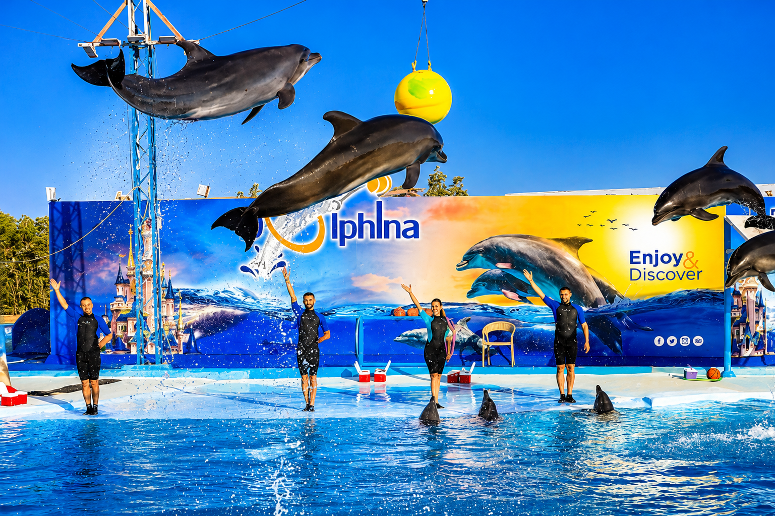 Dolphin Show and Park Adventure | Sharm El Sheikh