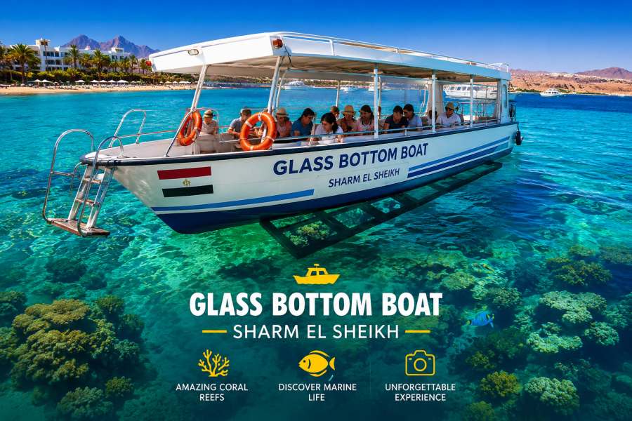 Glass Bottom Boat | Sharm El Sheikh