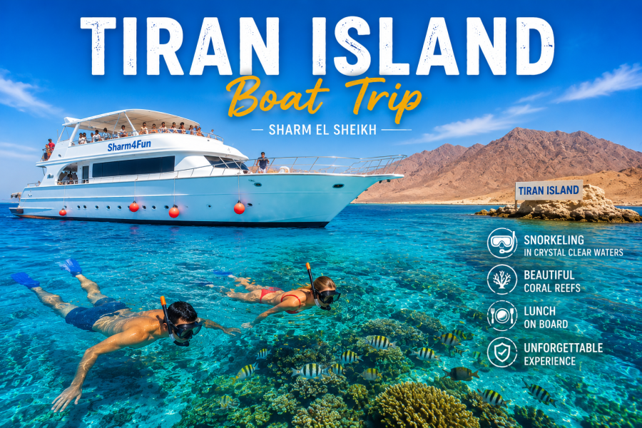 Tiran Island Snorkeling Boat Tour | Sharm El Sheikh
