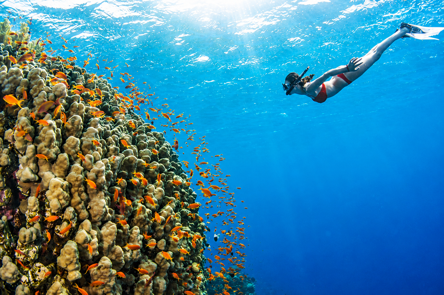 Ras Mohamed White Island Snorkeling Tour | Sharm El Sheikh