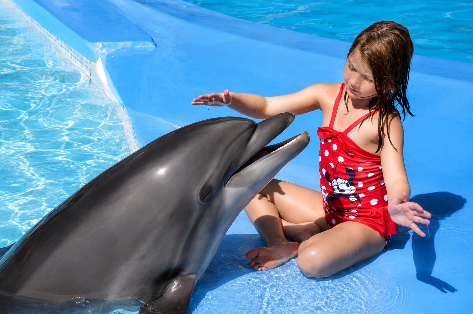 Dolphin Show and Park Adventure | Sharm El Sheikh