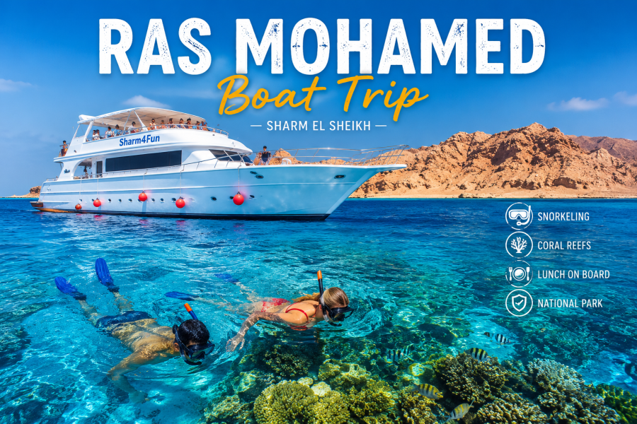 Ras Mohamed White Island Snorkeling Tour | Sharm El Sheikh